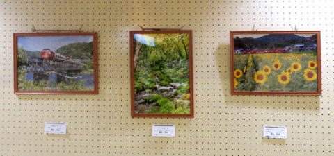 園生浩治（渓流の春・特急やくも・ひまわり）写真